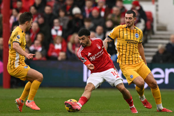 及其对洛杉 及其对洛杉