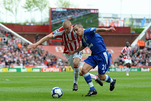 马的角度看 马的角度看