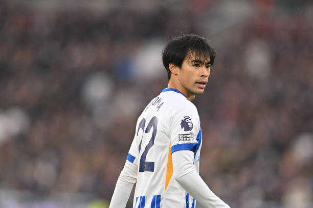 本文愿与你 本文愿与你